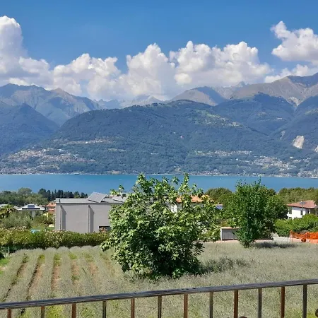 Ape Bianca - Lavanda * קוליקו