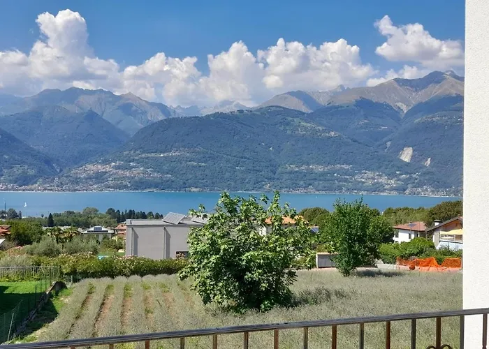 Ape Bianca - Lavanda * 科利科